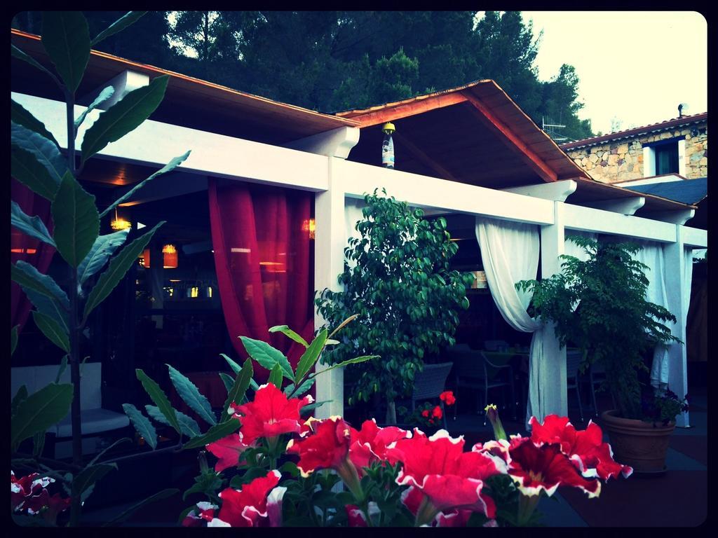 Villa El Minero 贡内萨 外观 照片